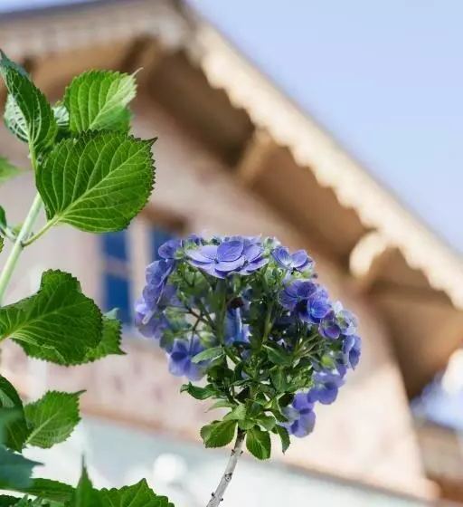 ベッドアンドブレックファースト Ca Meison