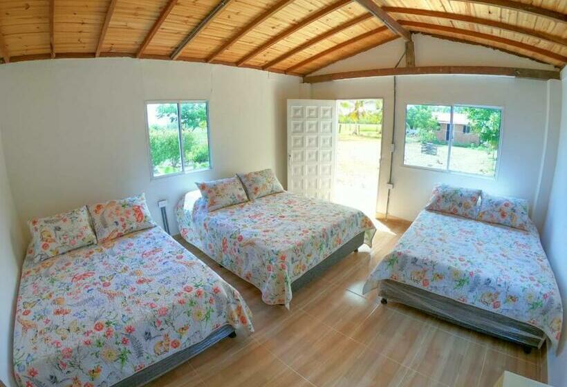 هتل Portoalegre Del Hamaquero