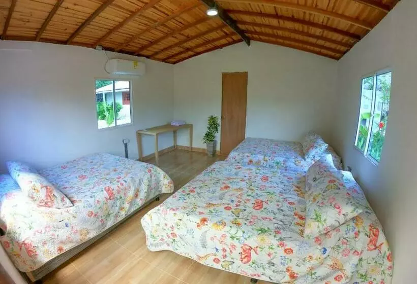 ホテル Portoalegre Del Hamaquero