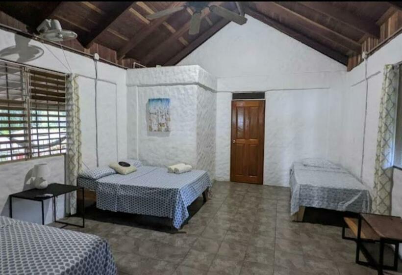 ペンション Ocean View