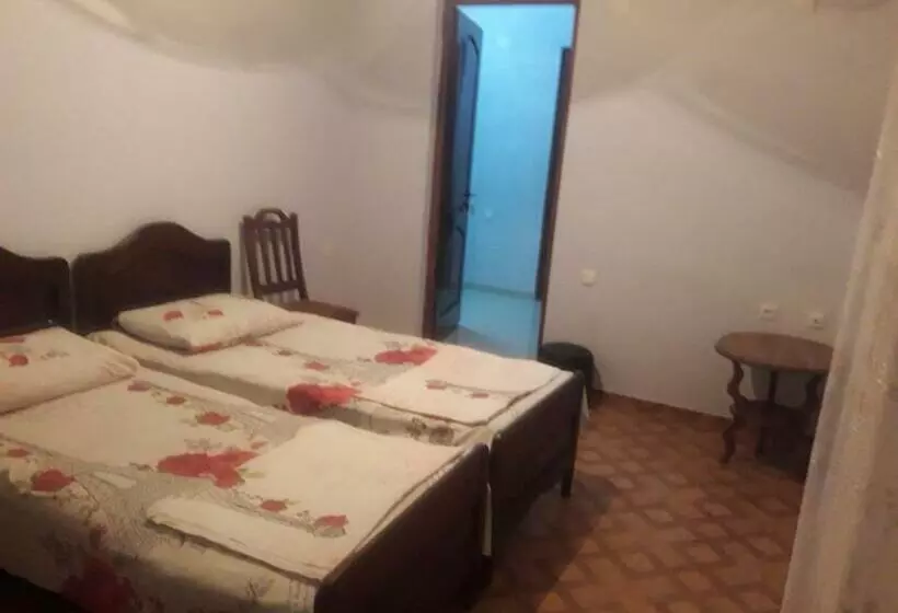 پانسیون царица тамар 4