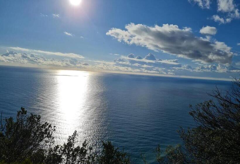 بنسيون Federico Ii   Rooms And Breakfast