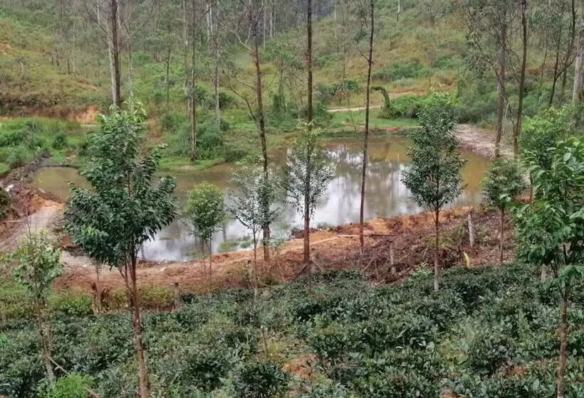 Hotelli Yara Plantation Bungalow Adams Peak Maskeliya