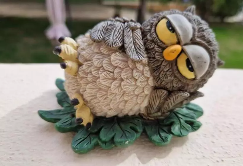 ペンション Bibi A Mare