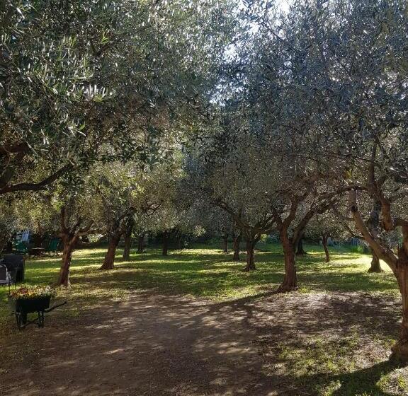 بنسيون Bibi A Mare