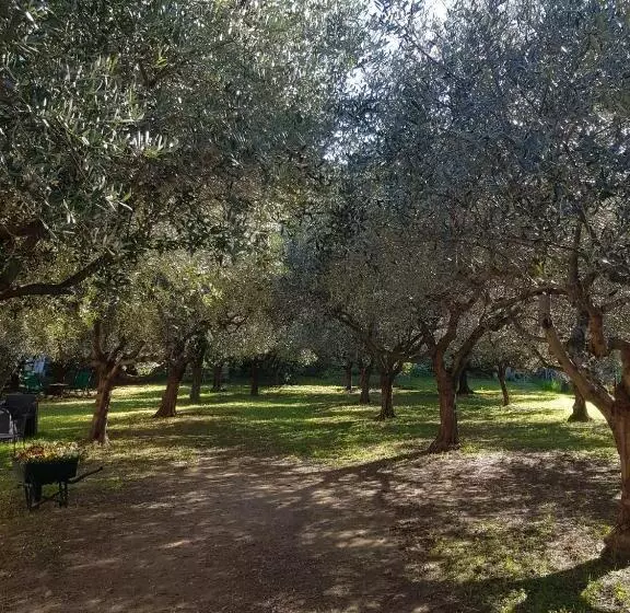 ペンション Bibi A Mare