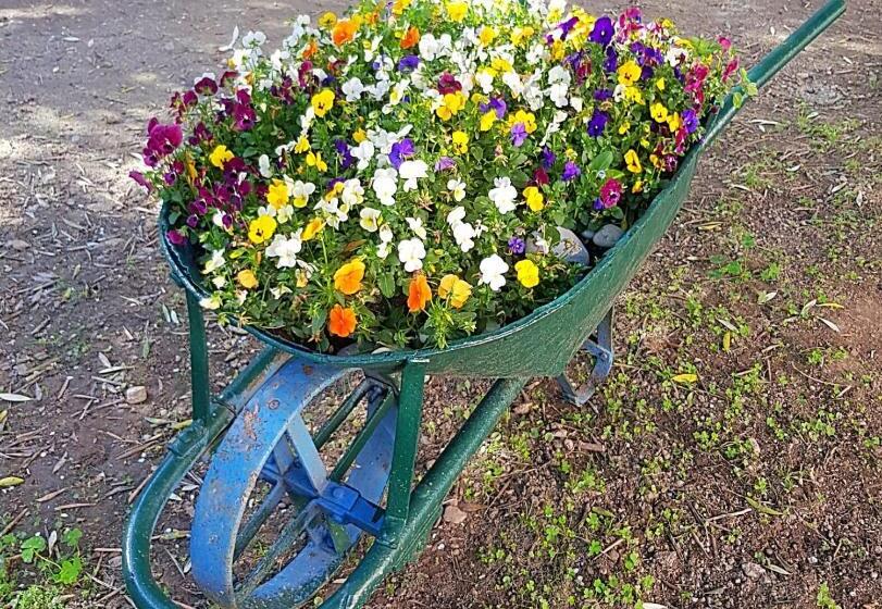 بنسيون Bibi A Mare