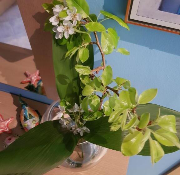 بنسيون Bibi A Mare