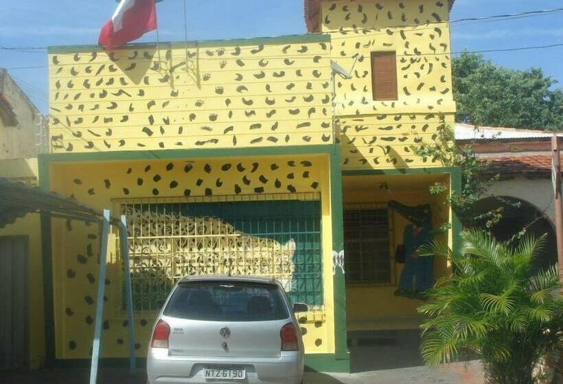 پانسیون Safari Tours