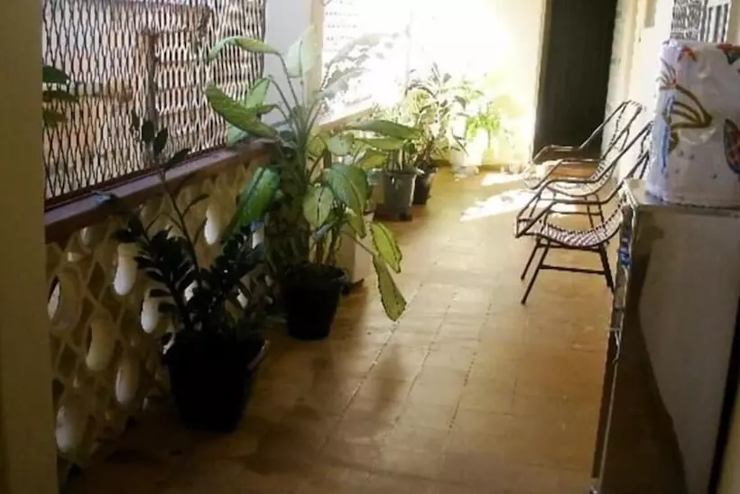 Majatalo Safari Tours