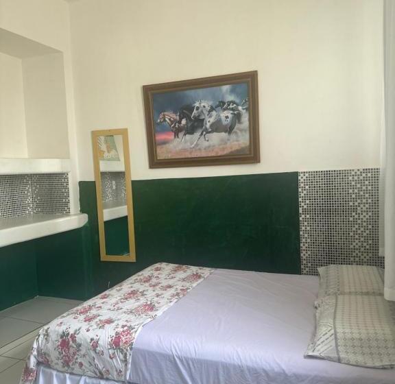 پانسیون Safari Tours