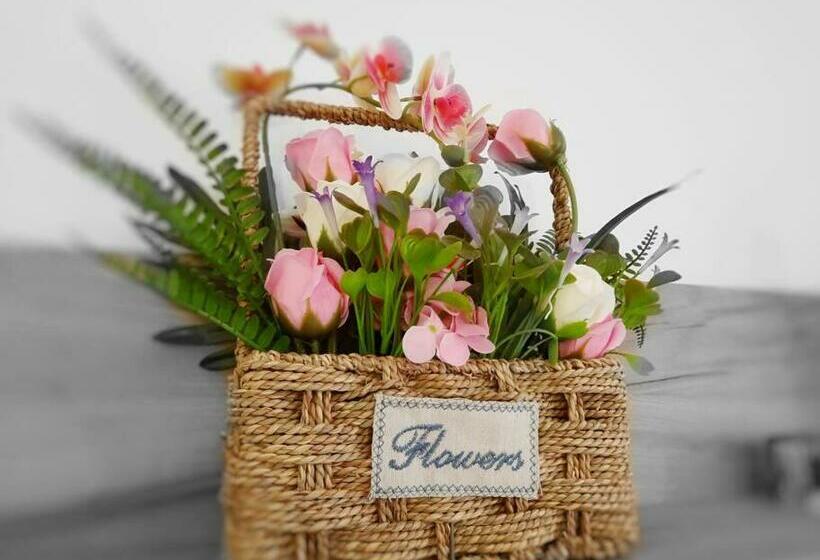 Beautiful Panoramic Central Apartment   City Of Mara