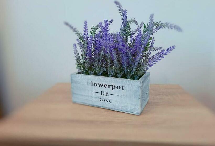 Beautiful Panoramic Central Apartment   City Of Mara