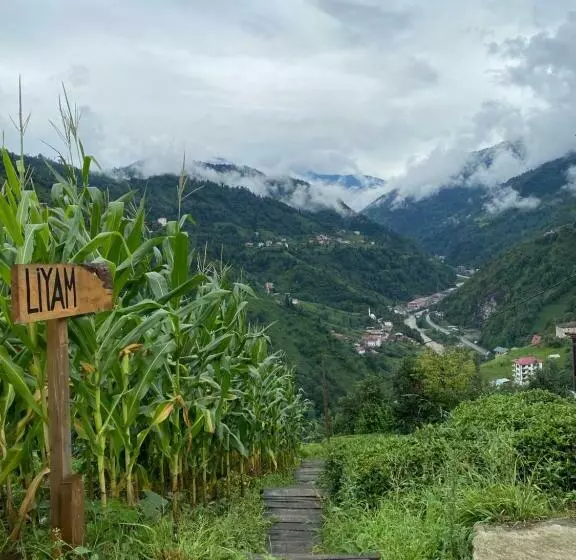 Aamiaismajoitus (B&B) Liyam Bungalov