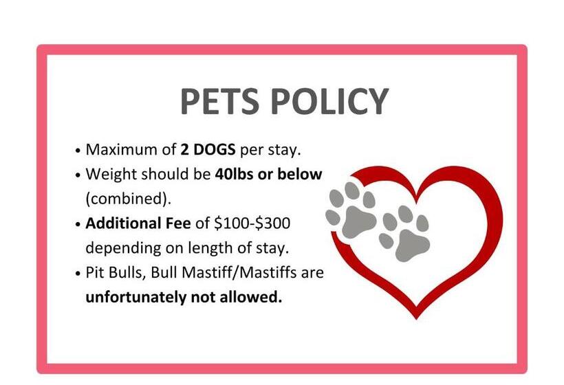 Two Adjacent Spacious Cozysuites On The Boardwalk