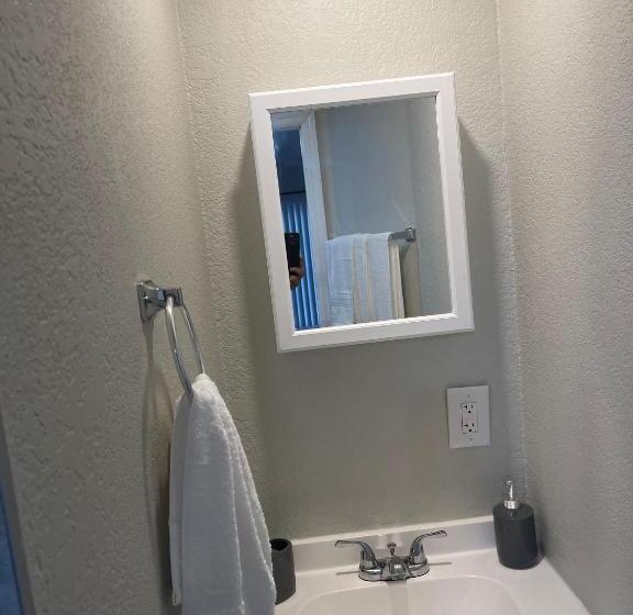 Adorable Suite In Tampa