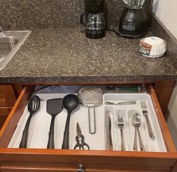 Adorable Suite In Tampa