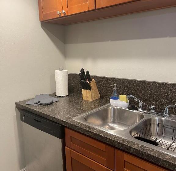 Adorable Suite In Tampa