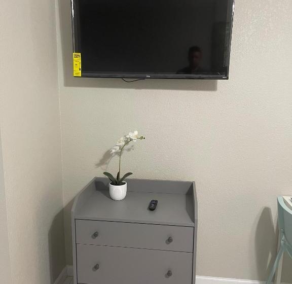 Adorable Suite In Tampa