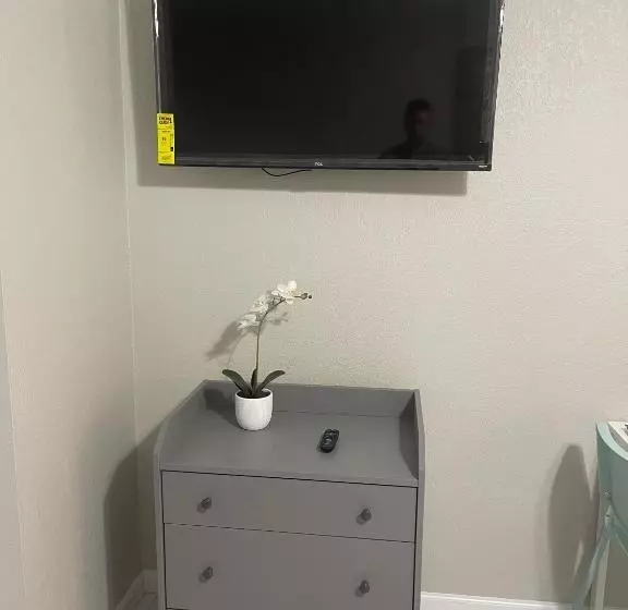 Adorable Suite In Tampa