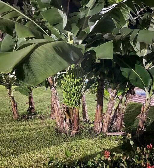 Brisas Vallarta   Just Steps From The Beach!