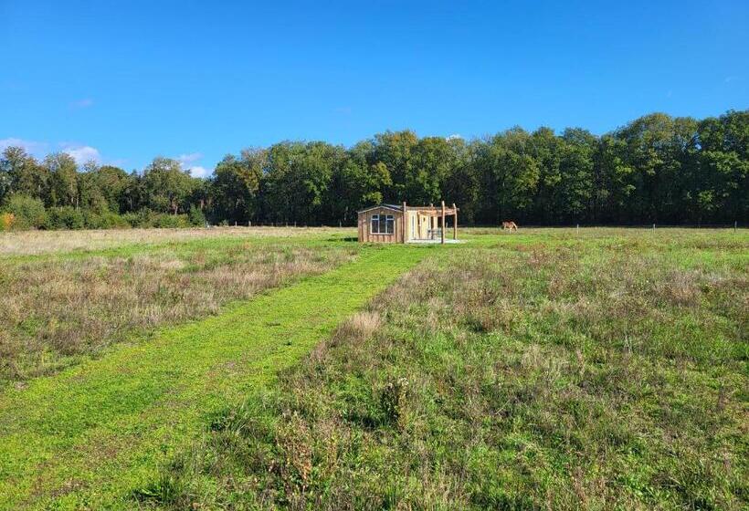 Hoeve Twente Oeverzwaluw