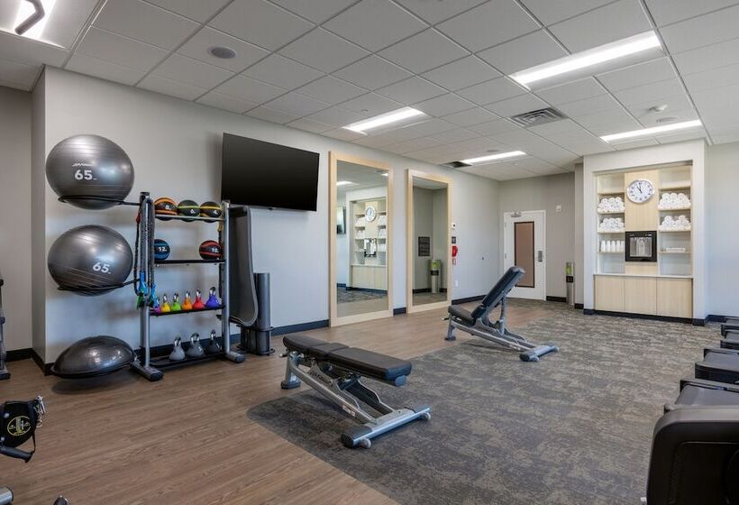 ホテル Fairfield By Marriott Inn & Suites Canton Riverstone Parkway