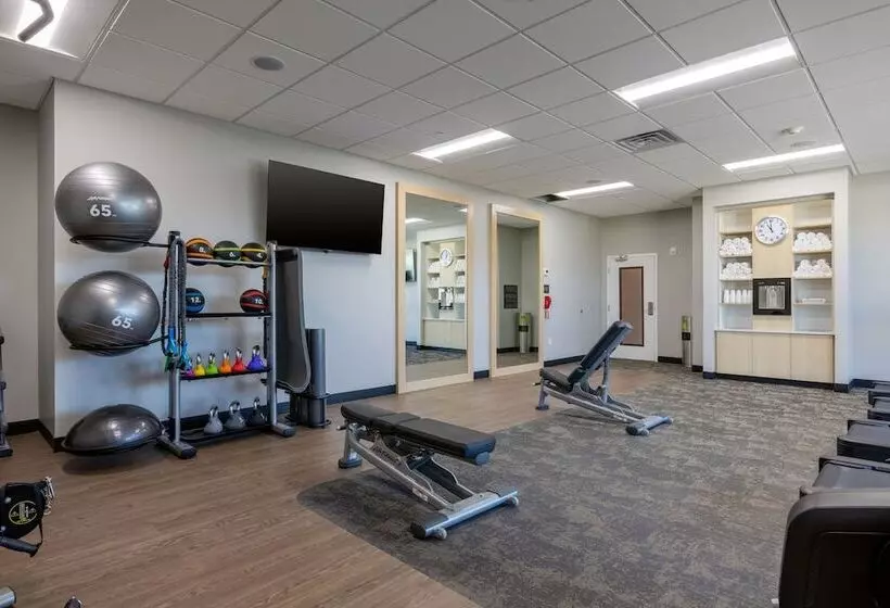 Hotelli Fairfield By Marriott Inn & Suites Canton Riverstone Parkway