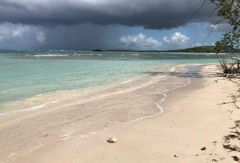 Отель Punta Rucia Cristal Beach