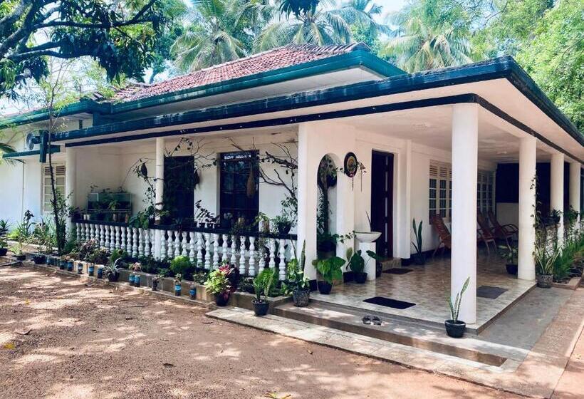 بنسيون Abhaya Resorts