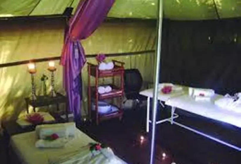 膳宿费 Crane's Nest Guest House & Spa @ 313