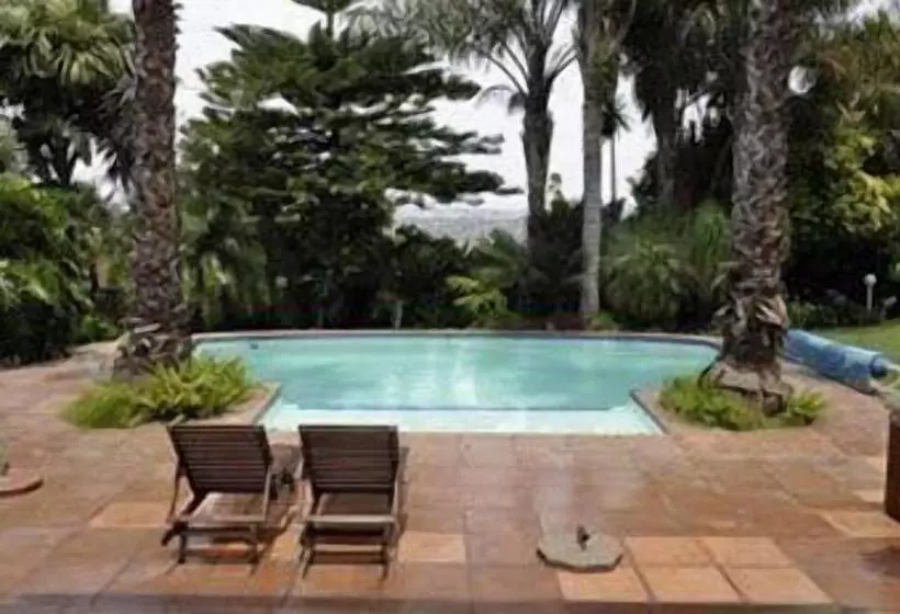 膳宿费 Crane's Nest Guest House & Spa @ 313