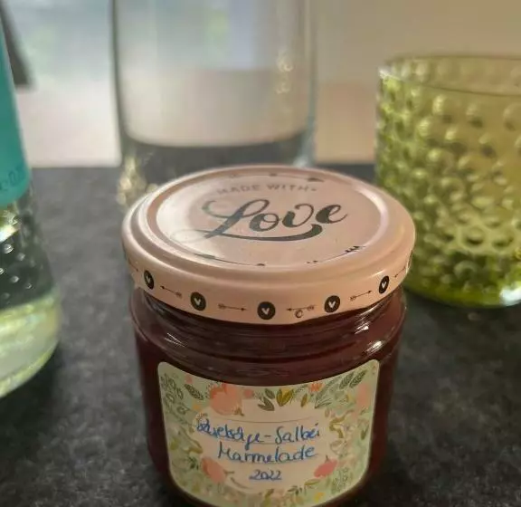 Apartment Centrally Located In The Rhine Main Area