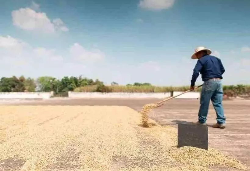 Cafeto Loft Lovely And Private Loft In Ruta De Las Flores Heart