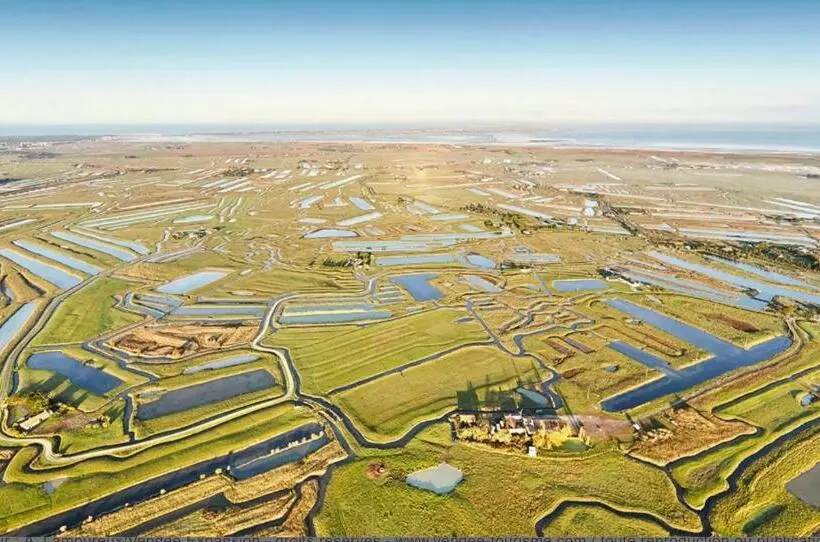 A 30 Min De L île Aux Mimosa Maison Vendéenne Avec Jardin