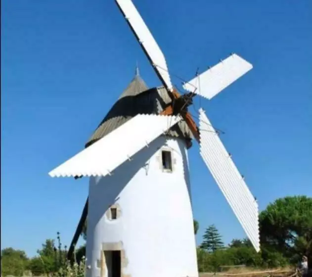 A 30 Min De L île Aux Mimosa Maison Vendéenne Avec Jardin