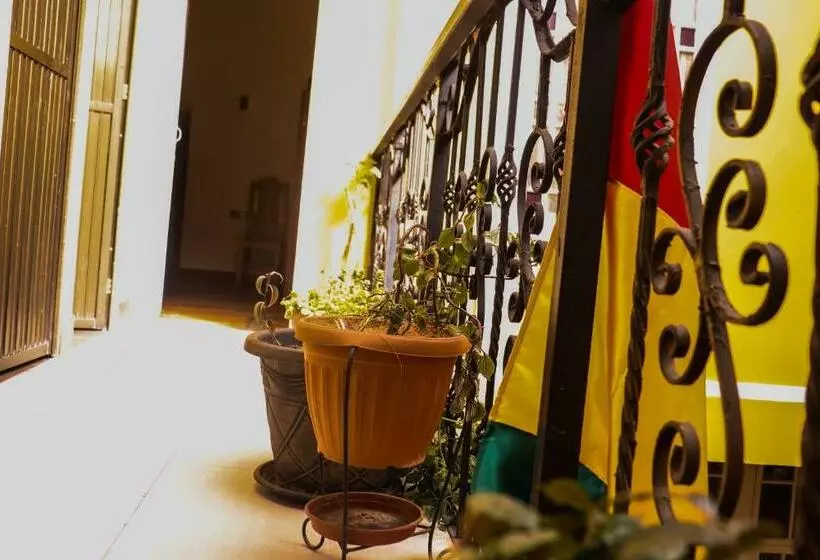 پانسیون Wake Up Hostel