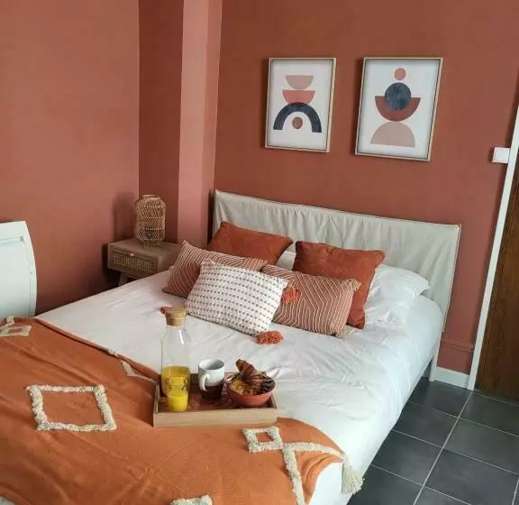 Appart  Terracotta   Champs élysées 20 Mn   Netflix