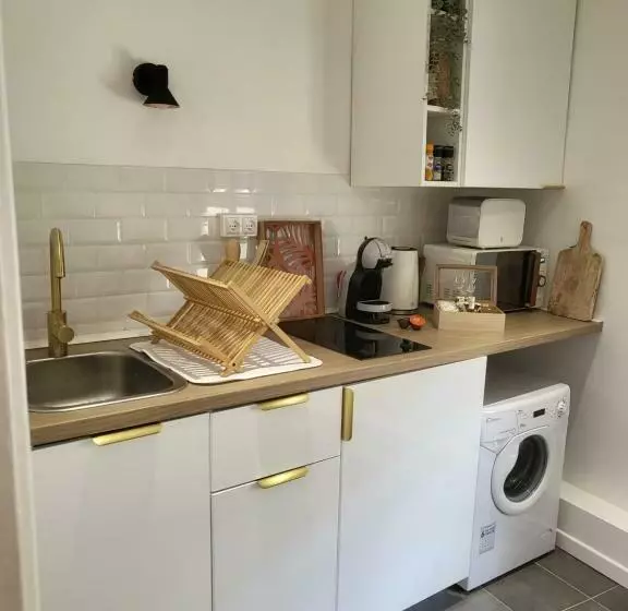 Appart  Terracotta   Champs élysées 20 Mn   Netflix