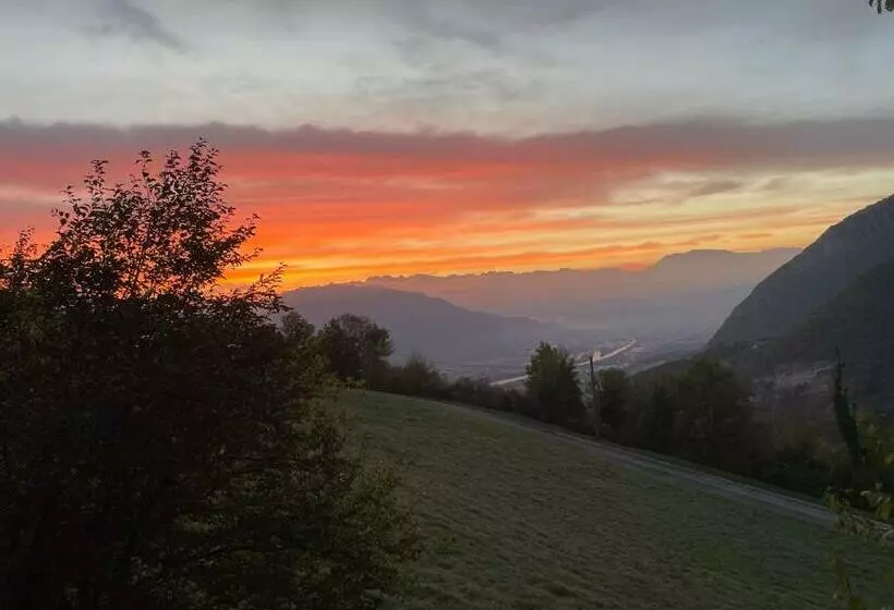 La Coccinelle