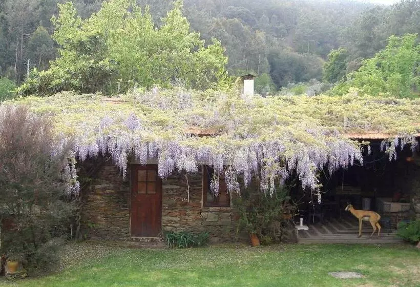 R3 Service   Quinta Da Melroa   Mountain Villa