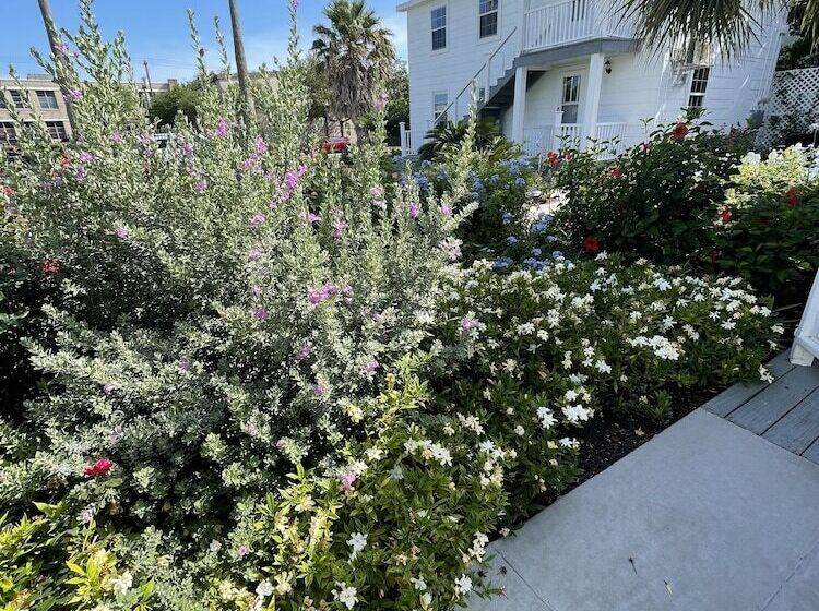 تختخواب و صبحانه The George Manor