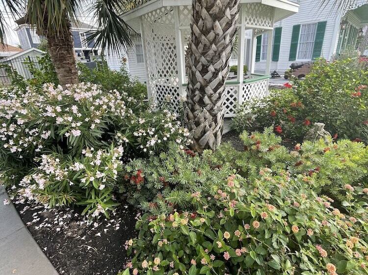 تختخواب و صبحانه The George Manor