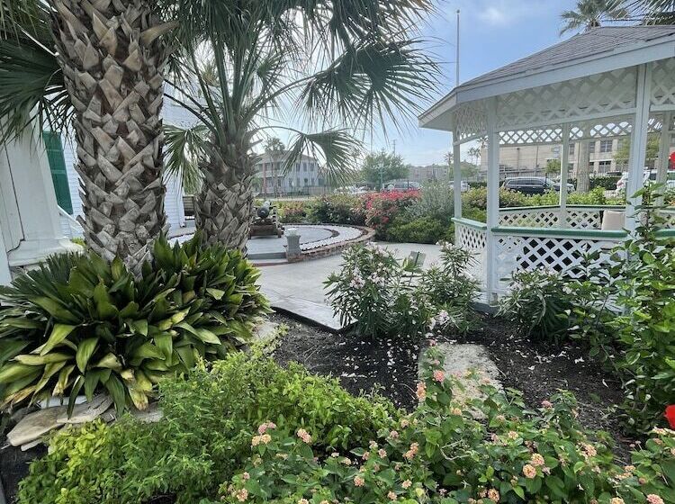 تختخواب و صبحانه The George Manor