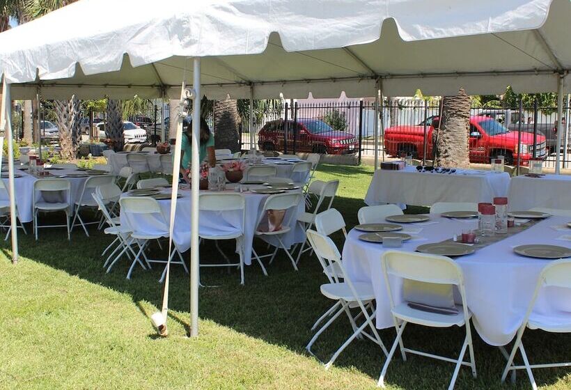 تختخواب و صبحانه The George Manor