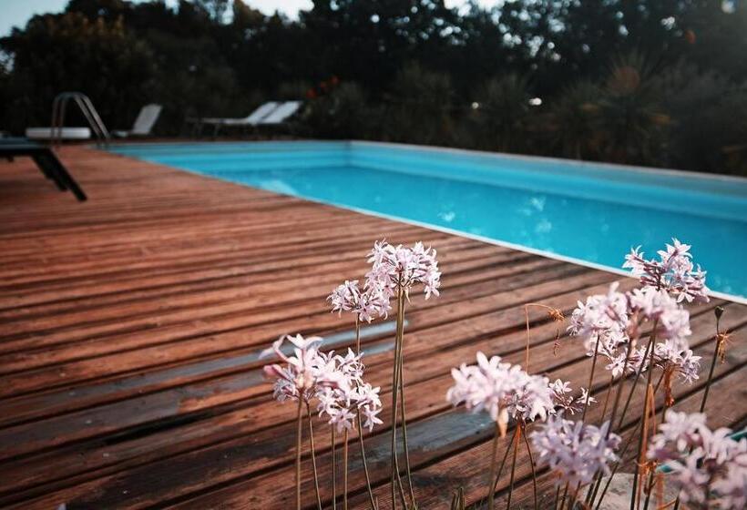 تختخواب و صبحانه Trulli Jaja