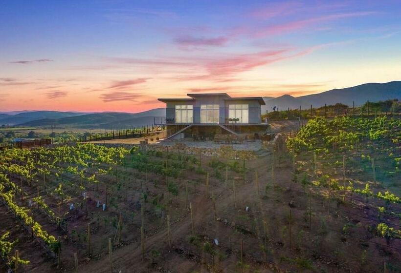 Buena Vista Valle De Guadalupe