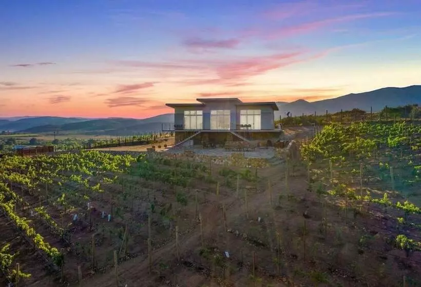 Buena Vista Valle De Guadalupe