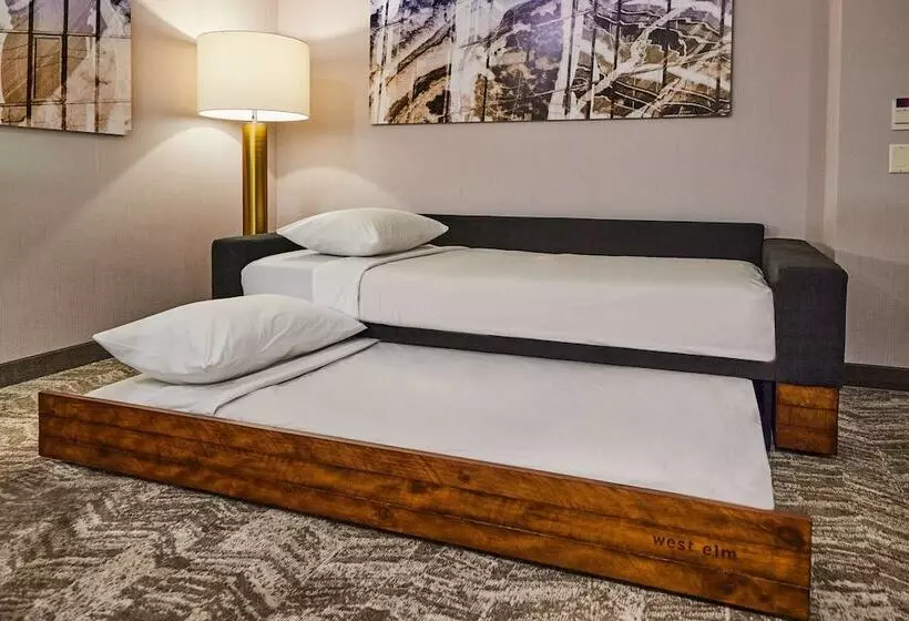 ホテル Springhill Suites By Marriott Medford Airport