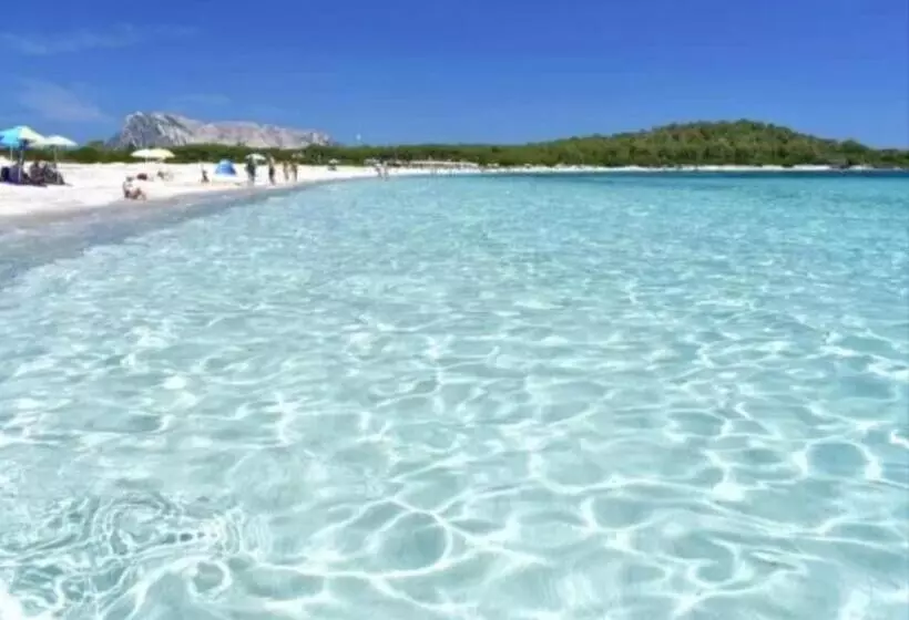 ペンション Home Sweet Home